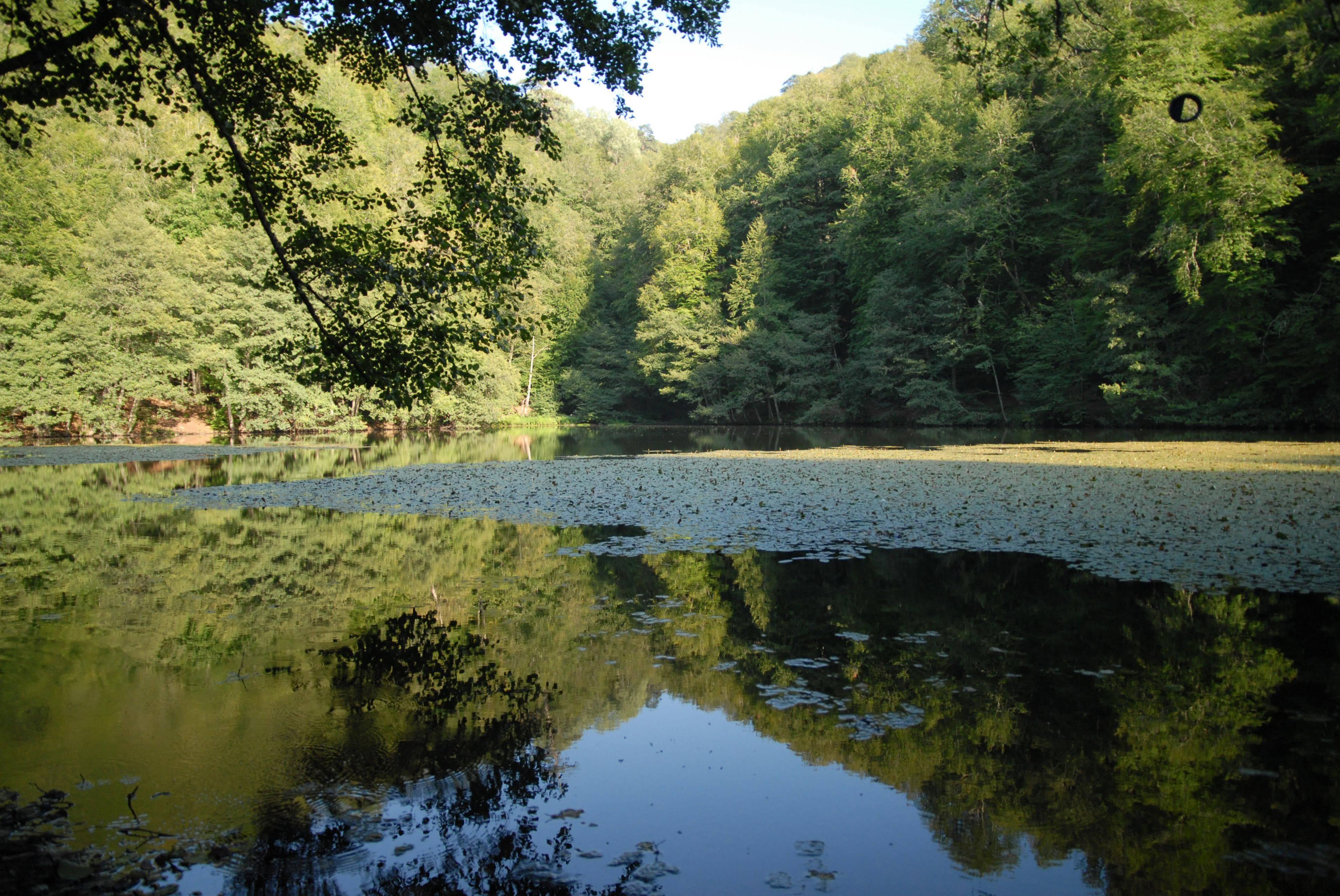 Bolu Termal Hotel Kültér fotó